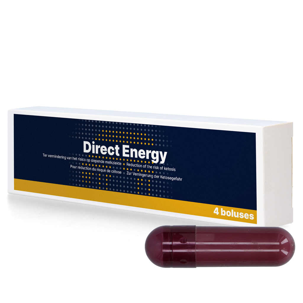 Direct Energy Bolus, für Milchkühe, Energie, Vitamine, Mineralien, 4 x 67 g