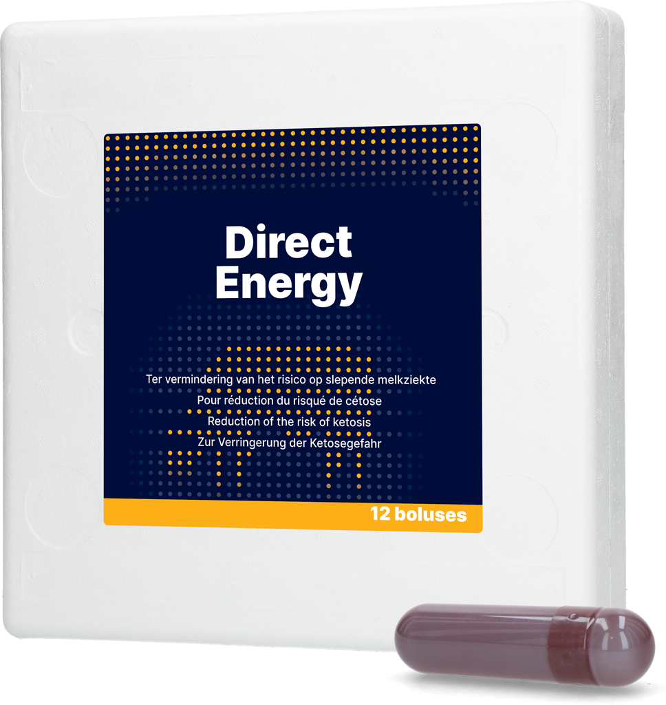 Direct Bolus Direct Energy, Ergänzungsfuttermittel für Milchkühe, Ketoseprophylaxe, 12 x 67 g
