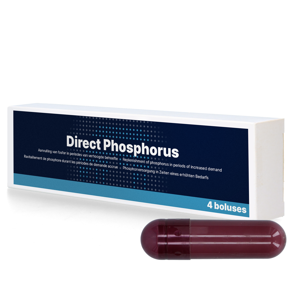 Direct Bolus Phosphor Bolus, für Kühe nach dem Abkalben, 4 x 123 g