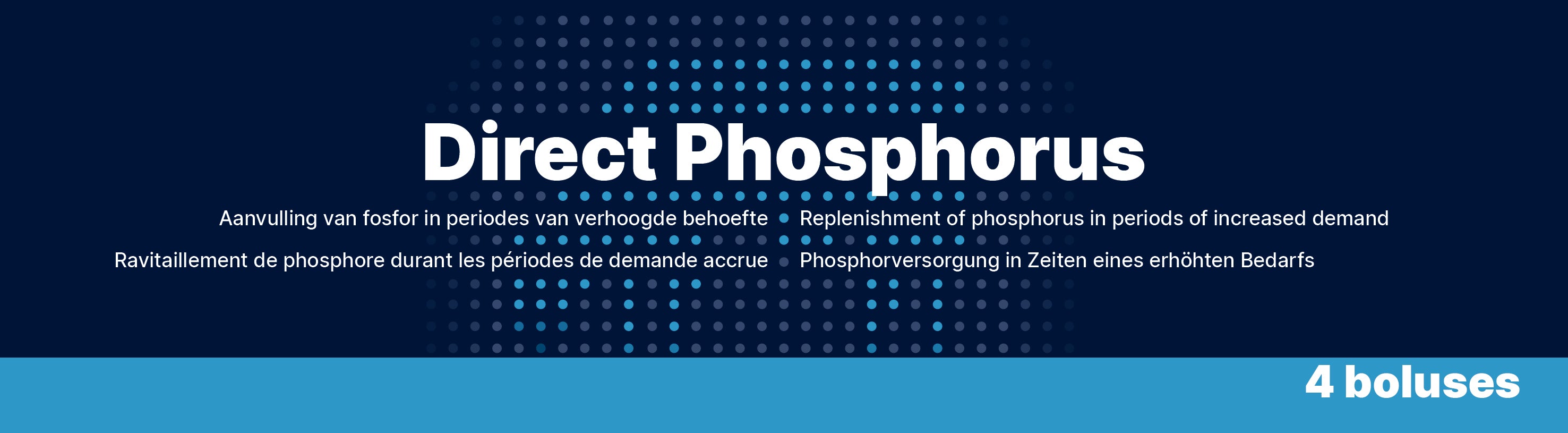 Direct Phosphorus für Kühe nach dem Abkalben, 4 x 123 g