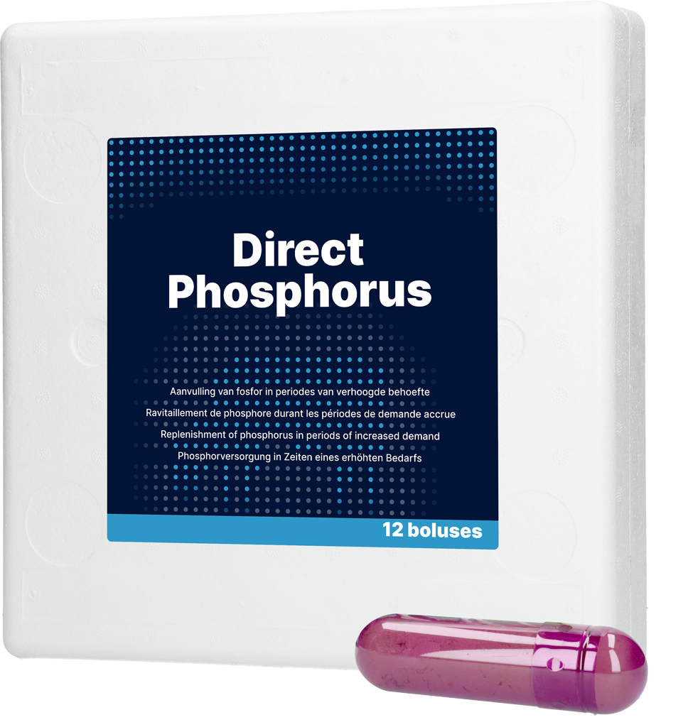 Direct Bolus Phosphor Bolus, für Kühe nach dem Abkalben, 12 x 123 g