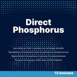 Direct Bolus Phosphor Bolus, für Kühe nach dem Abkalben, 12 x 123 g