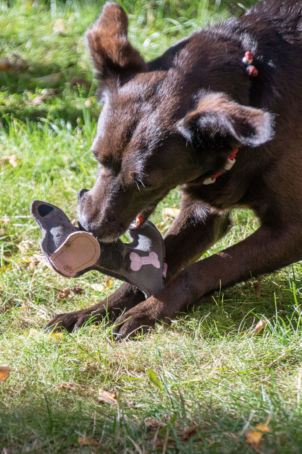 Hundespielzeug Esel, Rindsleder, Quietscher, braun/dunkelgrau