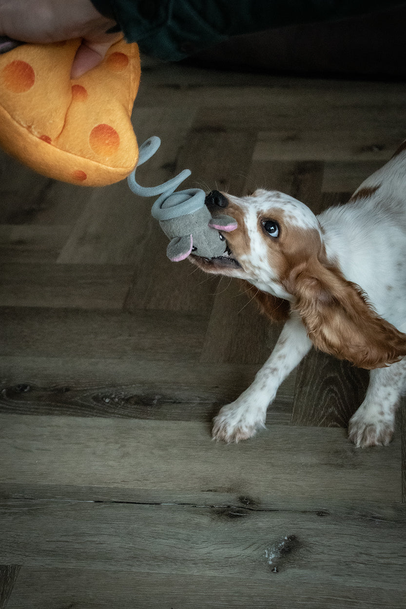 Hundespielzeug, Double Wobble, Kuscheltier mit Quietschern, 24 x 24 cm