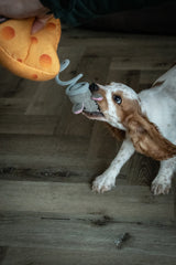 Hundespielzeug, Double Wobble, Kuscheltier mit Quietschern, 24 x 24 cm