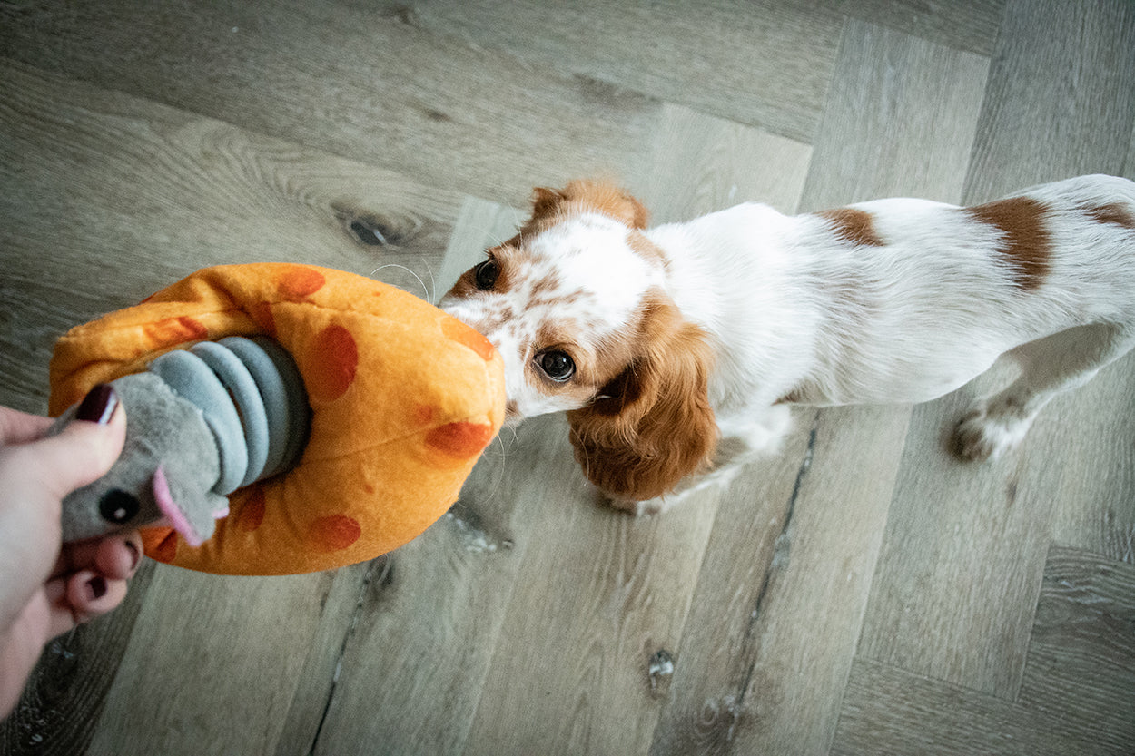 Hundespielzeug, Double Wobble, Kuscheltier mit Quietschern, 24 x 24 cm