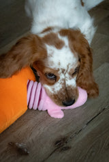 Hundespielzeug, Double Wobble, Karotte, mit Quietschern, 24 x 24 cm