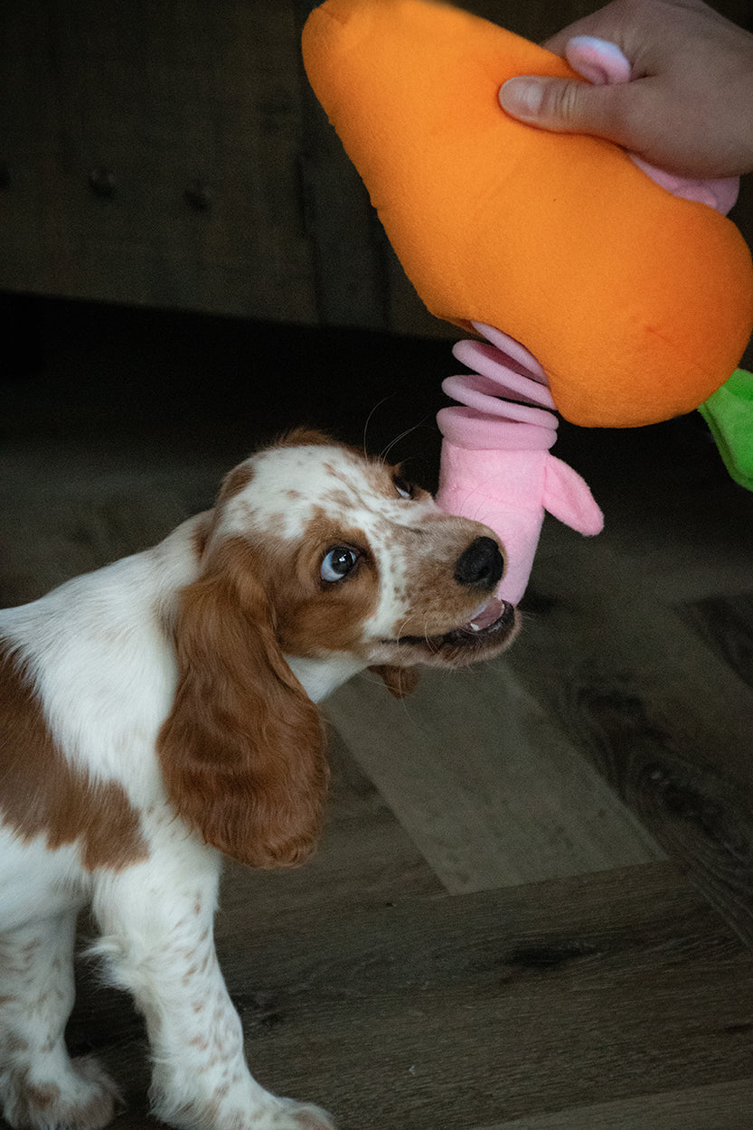 Hundespielzeug, Double Wobble, Karotte, mit Quietschern, 24 x 24 cm