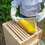 My Little Farm - Bienenstock Starterset ‚Königin‘