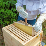 My Little Farm - Bienenstock Starterset ‚Königin‘