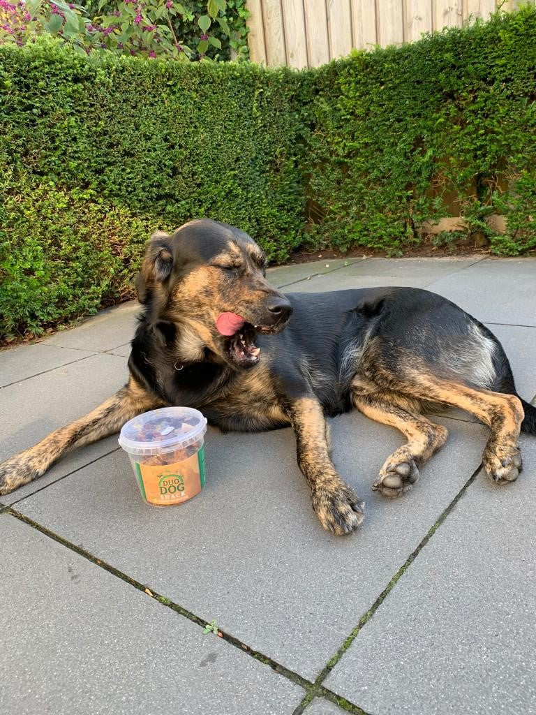 Duo Dog Hunde Snacks, Pferdefett, hypoallergen, 350 g