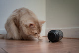 Eat Slow Live Longer Futterrolle, grau, S, 16,5 x Ø 7 cm