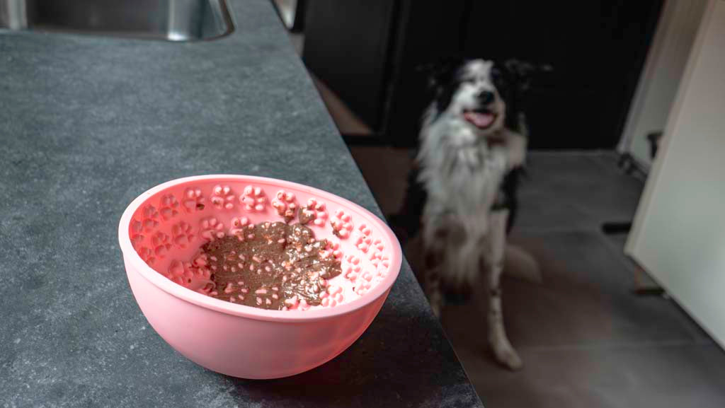 Eat Slow Live Longer Leckmatte Antischlingnapf aus Silikon Rund Ø 17 cm