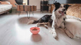 Eat Slow Live Longer Leckmatte Antischlingnapf aus Silikon Rund Ø 17 cm
