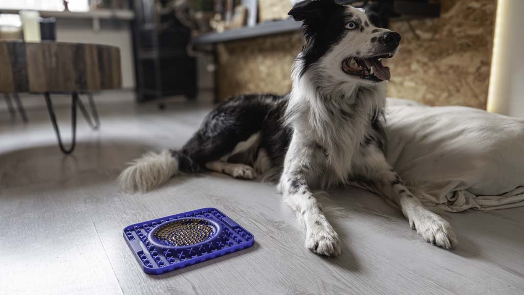 Eat Slow Live Longer Leckmatte Wave - Schleckmatte Snackmatte für Hunde