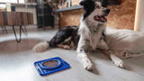 Eat Slow Live Longer Leckmatte Wave - Schleckmatte Snackmatte für Hunde