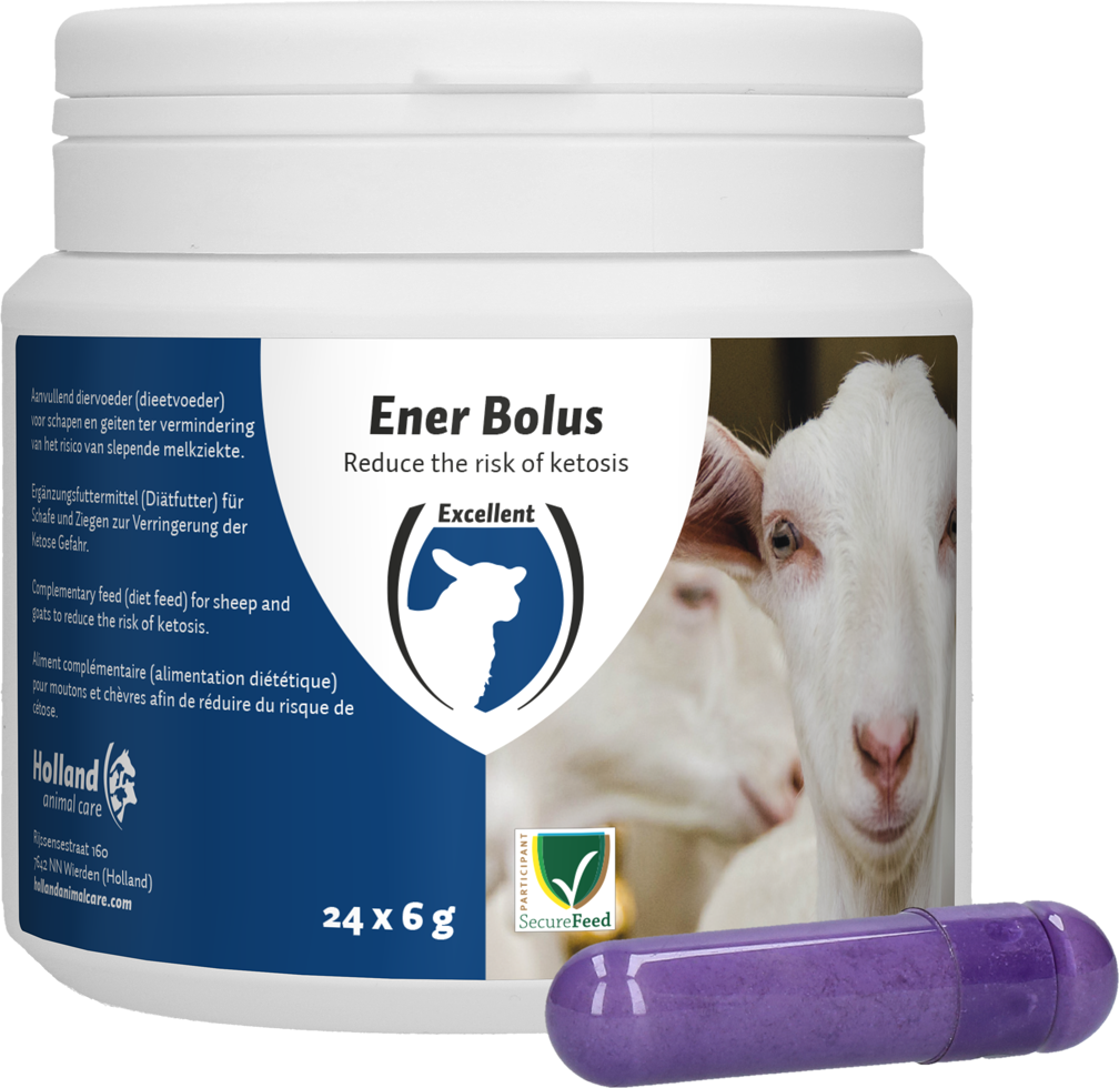 Excellent Ener Bolus, Schaf, Ziege, Ergänzungsfuttermittel, 24 Stück