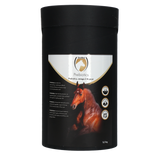 Excellent Horse Prebiotika Ergänzungsfuttermittel Pferd, 2,5 kg