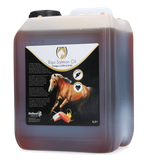 Excellent Horse Lachsöl, Ergänzungsfuttermittel für Pferde, 2,5 l