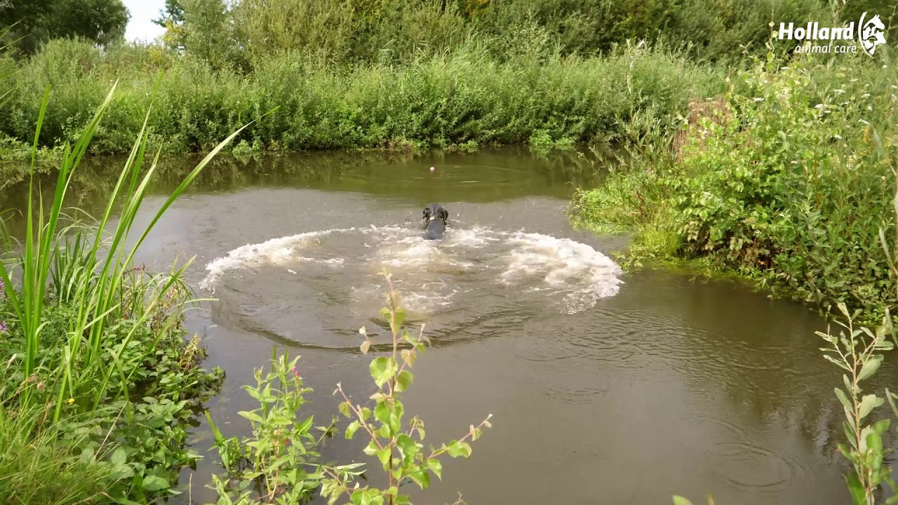 Dog Comets Hundeball, Naturkautschuk, schwimmfähig, schwarz/grün, Ø 6 cm