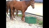 OK Plast Weidetrog, 200 l