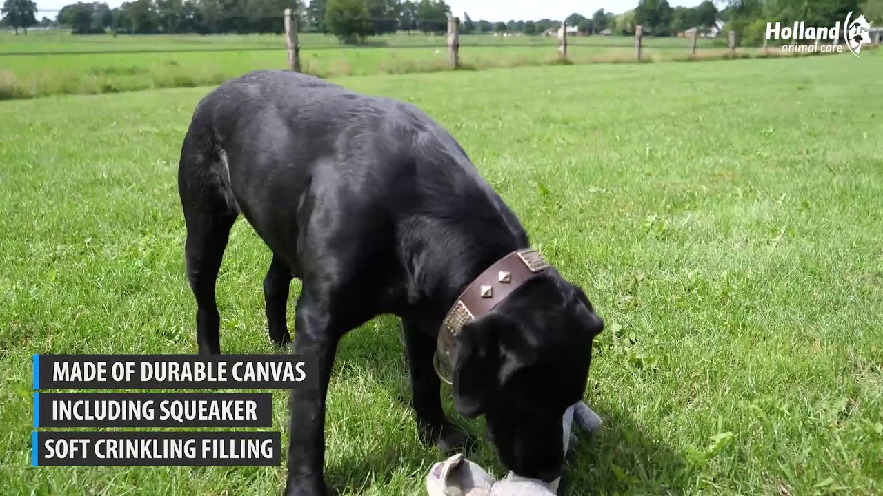 Country Dog Hundespielzeug Chewie M, Leinenstoff, recycelter Kunststoff