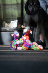 Hundespielzeug FantaZoo Alpaca, M, 23 x 13 cm, mit Quietscher