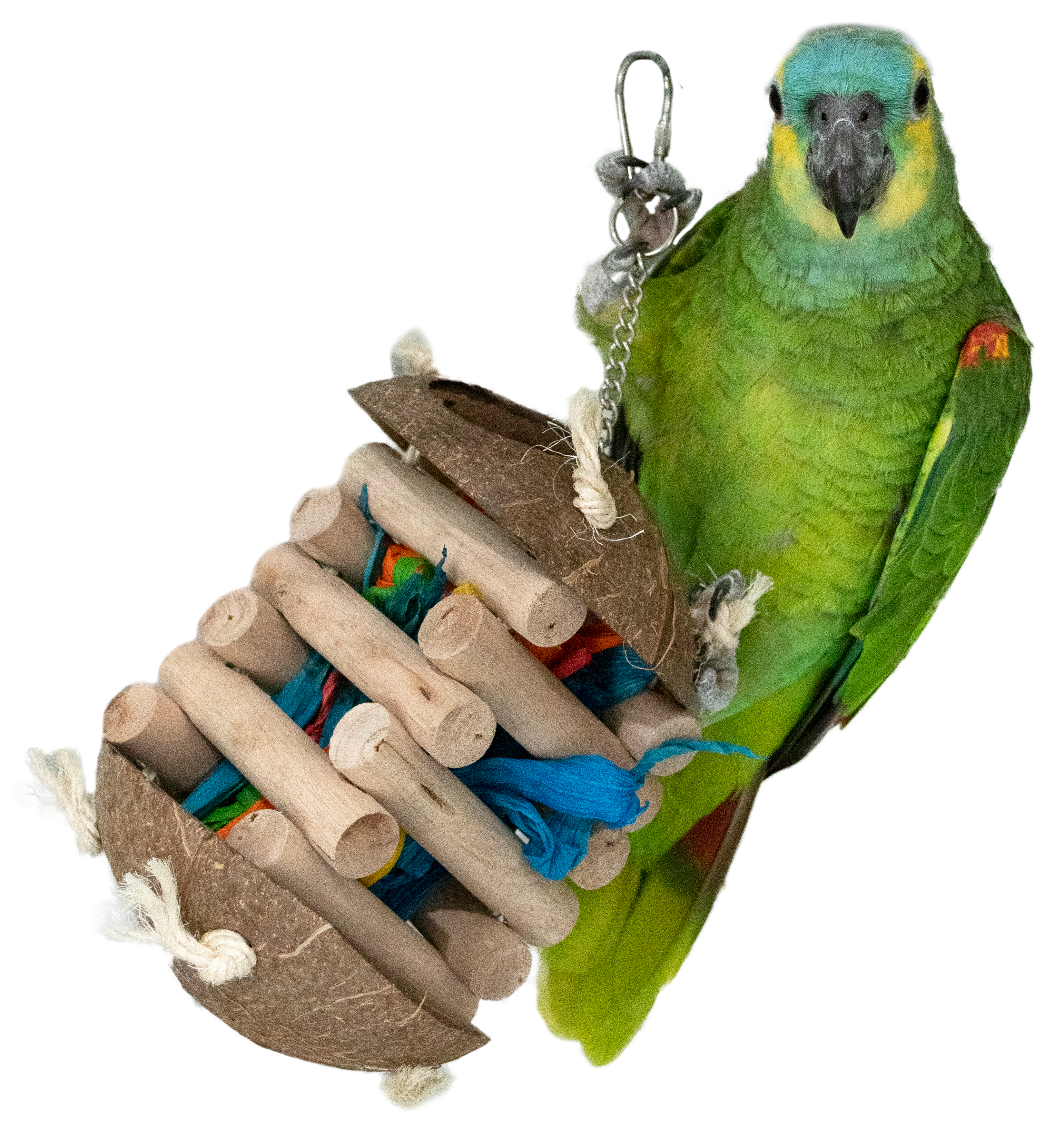 Feather World Vogelspielzeug, Kokosnuss, Holz, 32 cm