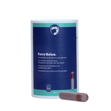 Excellent Ferro Bolus, Eisenergänzung für Kälber, 24 x 9 g