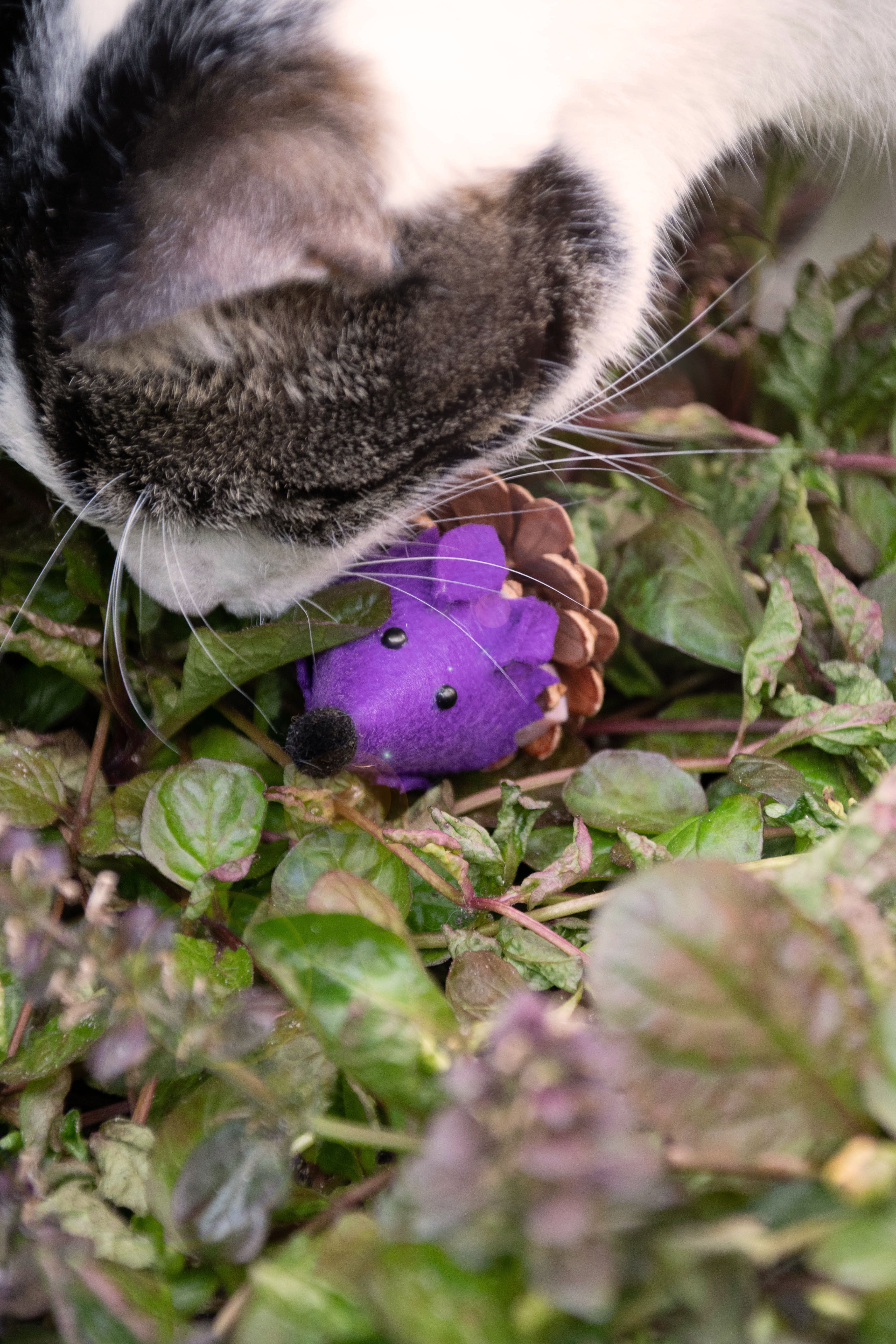 Forest Friends Maus aus Filz mit Madnip und Tannenzapfen