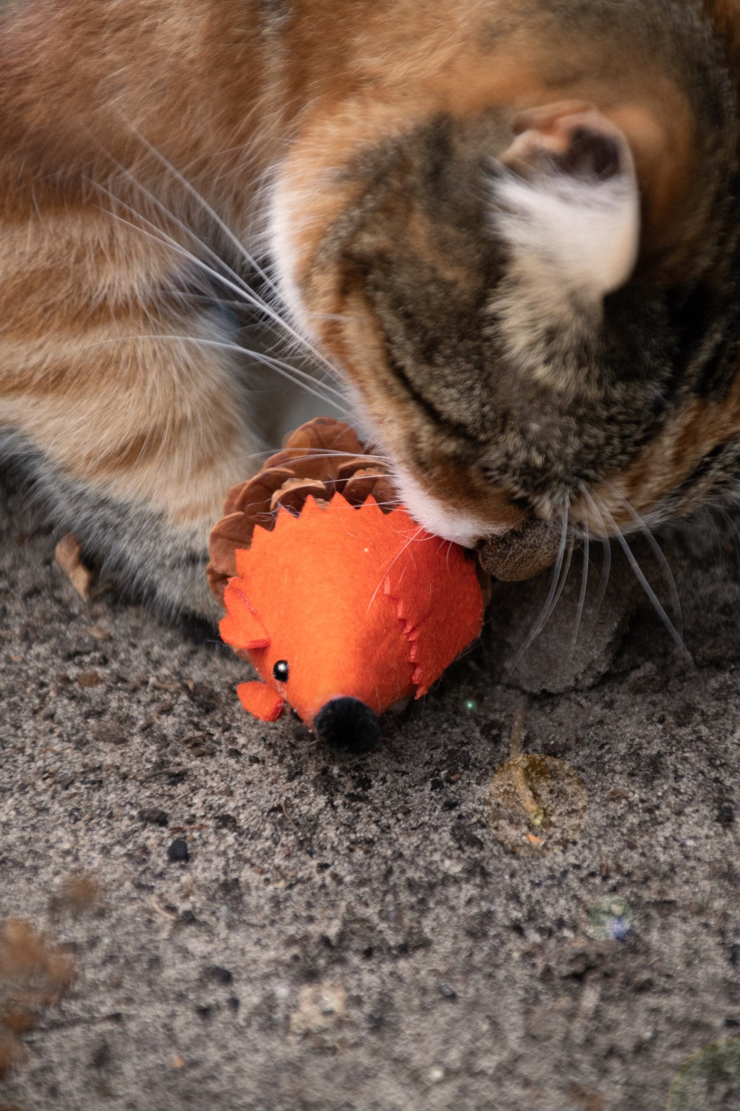 Forest Friends Maus aus Filz mit Madnip und Tannenzapfen