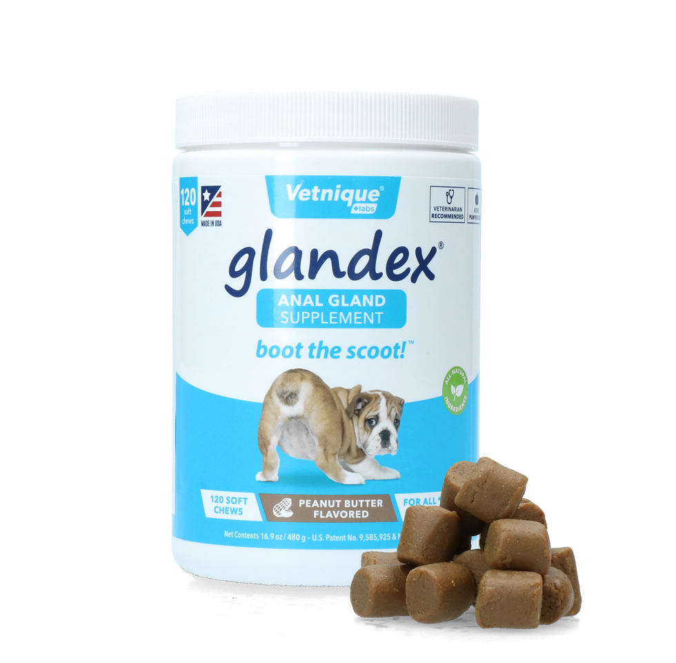 Glandex Soft Chews, Verdauung, Analdrüsen, Hund, 120 St