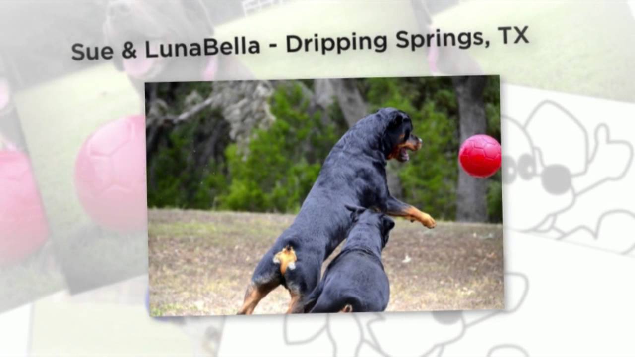 Jolly Pets Hundeball, Jollyflex, schwimmfähig, rosa, Ø 15 cm