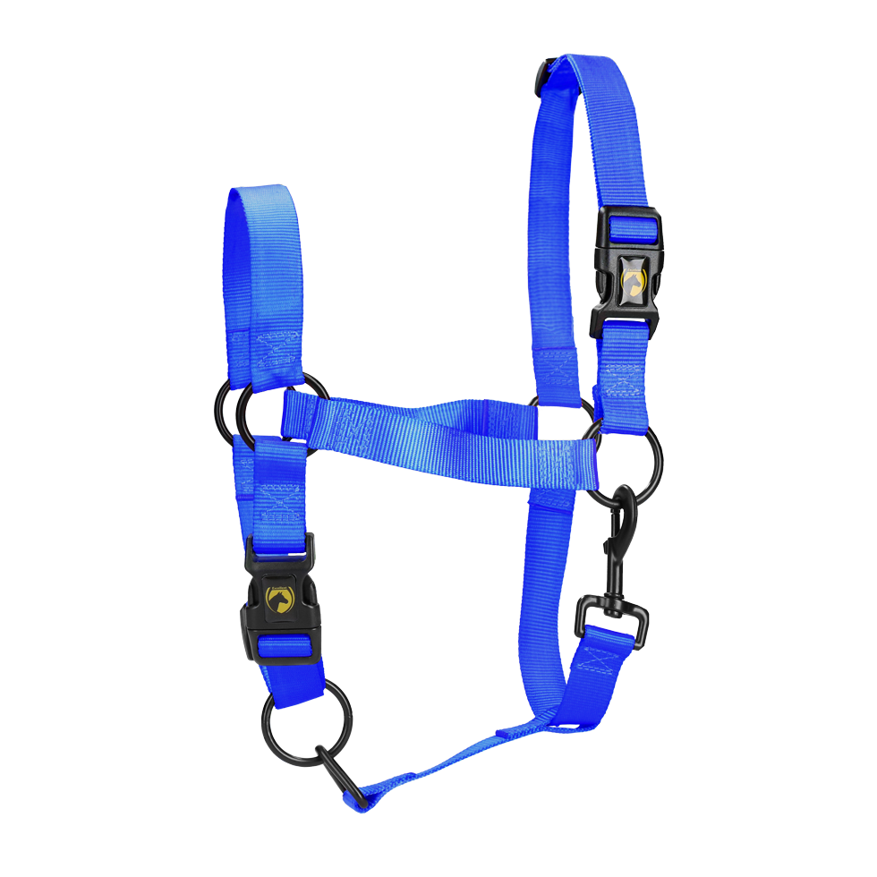 Excellent Essential Halfter, Nylon, Blau, XS, Fohlen