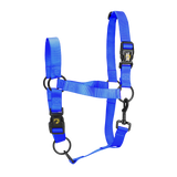 Excellent Essential Halfter, Nylon, Blau, XS, Fohlen