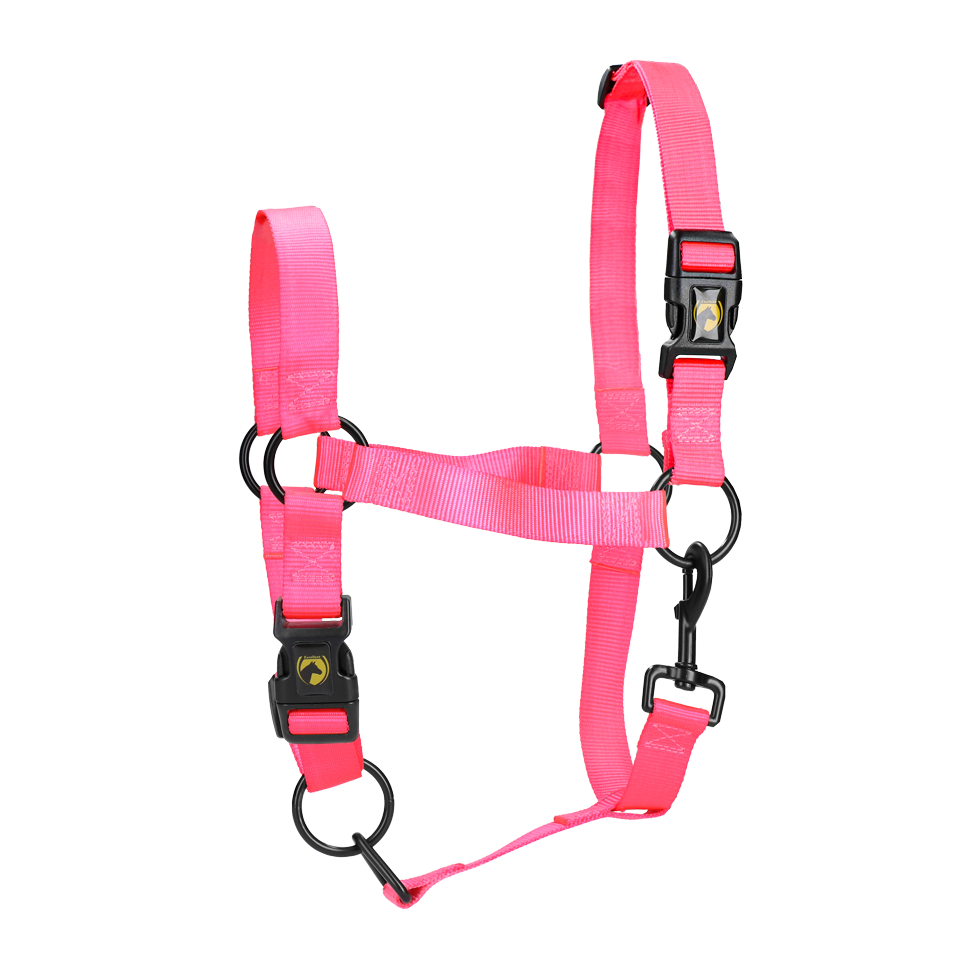 Excellent Essential Halfter, Nylon, Quick Release, rosa, XL