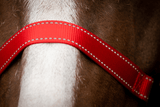 Excellent Halfter, Nylon, reflektierend, Rot, XS, Fohlen