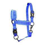 Excellent Halfter, Superior, Blau, Größe L