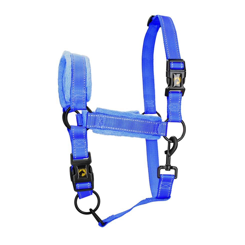 Excellent Halfter, Superior, Blau, XL