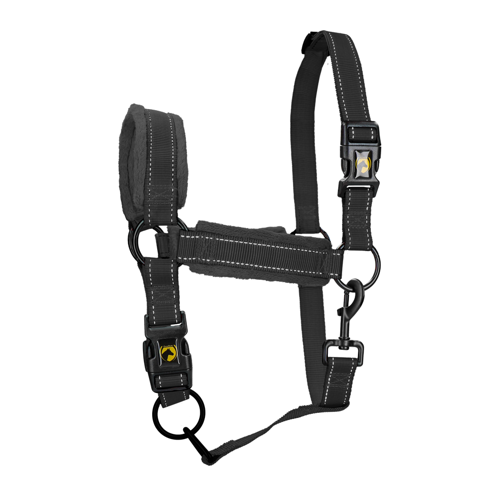 Excellent Halfter, Superior, Schwarz, XL