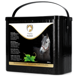 Excellent Horse Brennnessel, Einzelfuttermittel für Pferde, 800 g