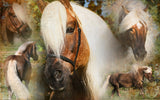 Excellent Horse Glanzspray, Schweif und Mähne, 500 ml
