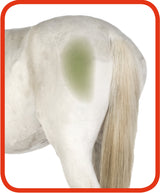 Excellent Horse Fellpflege- und Reinigungs-Spray, 500 ml