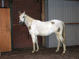 Excellent Horse Fellpflege- und Reinigungs-Spray, 500 ml