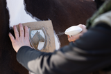 Excellent Horse Glitzerspray, Silber, 250 ml