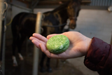 Excellent Horse Shampoo Bar, Aloe Vera, für Pferde, 60 g