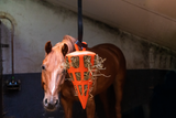 Heu-Slowfeeder, Karottenform, Naturkautschuk, orange, mit Nylonseil