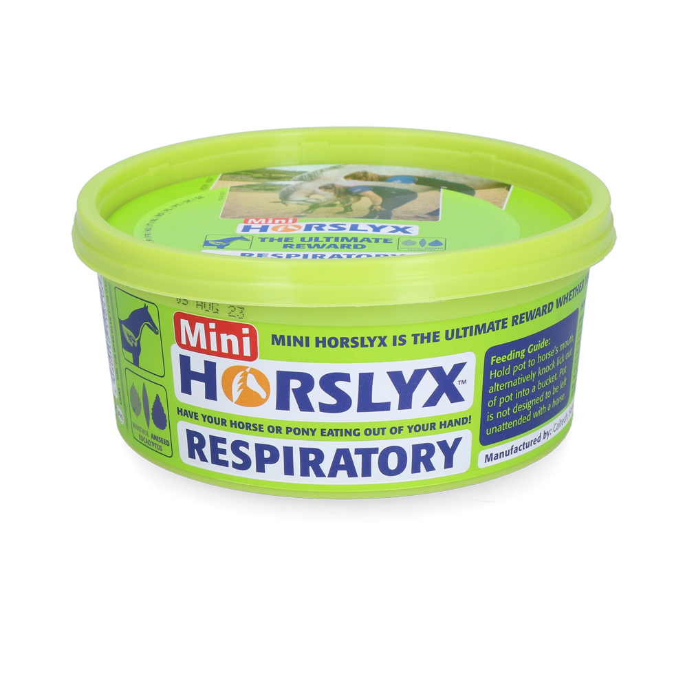 Horslyx Mini Atemwege Leckstein, Pferd, 650 g