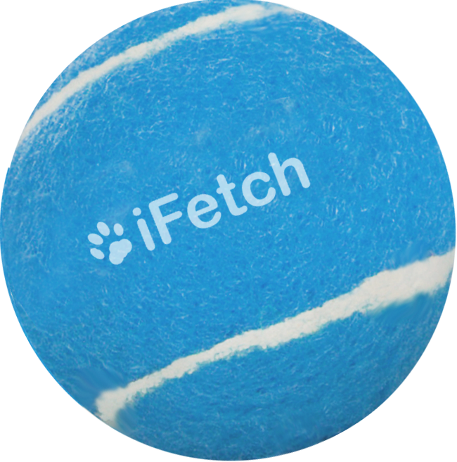 iFetch Too Ball