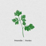 Petersilie